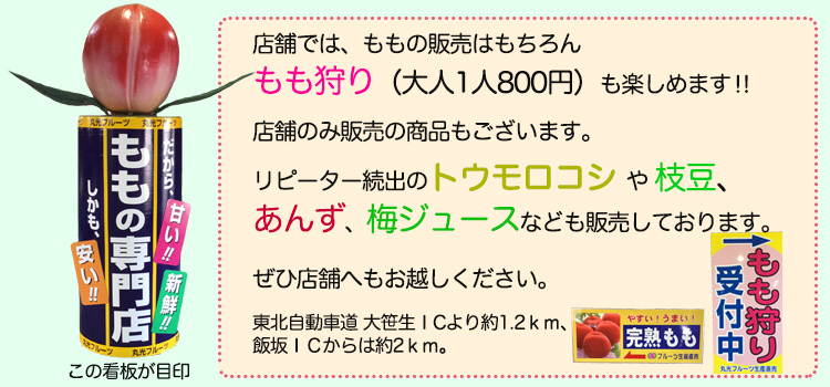 東北自動車道飯坂ICをおりて約2km。店舗ではリピーター続出のトウモロコシや枝豆、手作りの梅ジュースなども販売しております。また、大人1人800円で30分食べ放題の桃狩りも楽しめます!