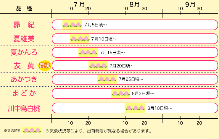 まどか 2キロ箱 1-3 通販